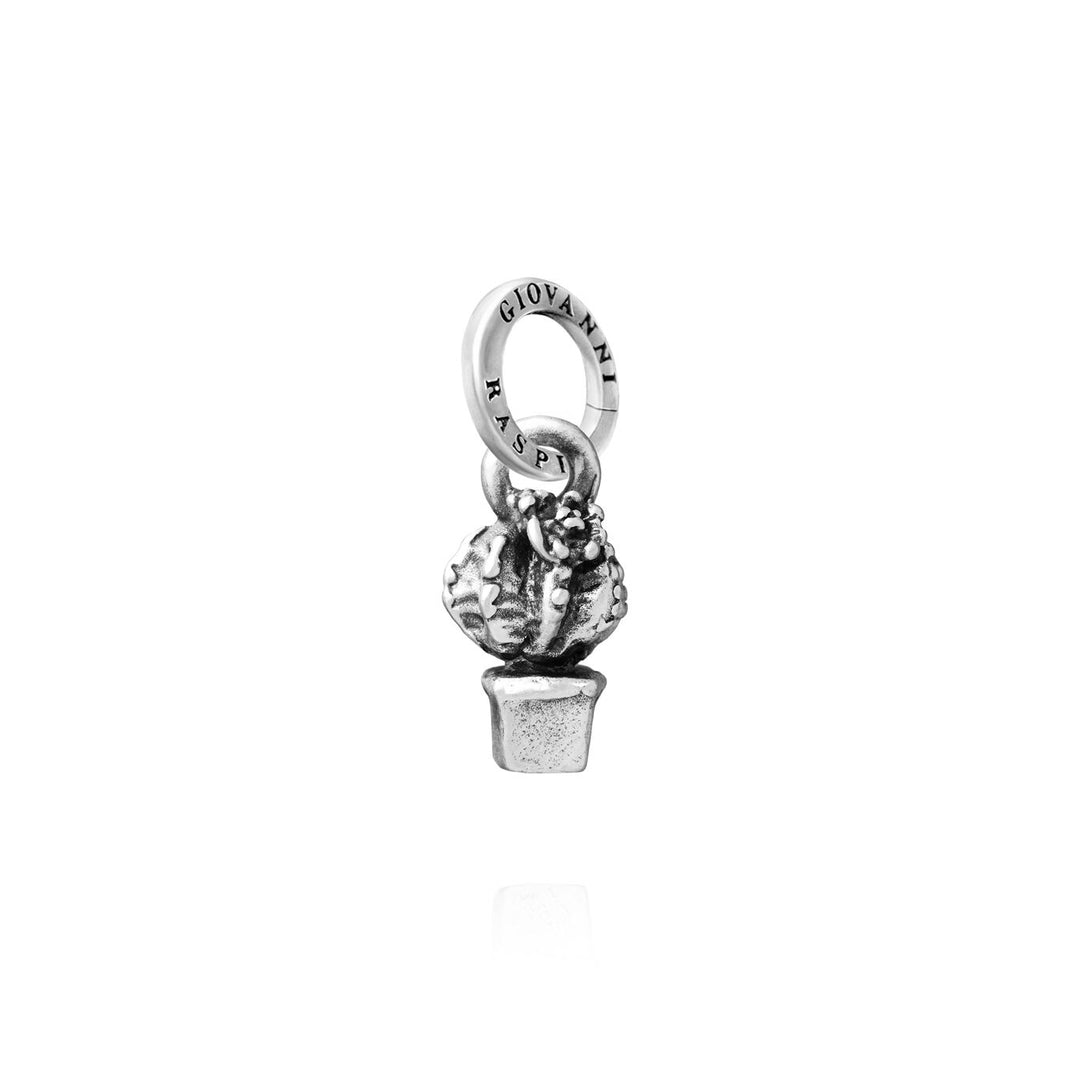 Giovanni Raspini Sukkulentplante Charm 11840
