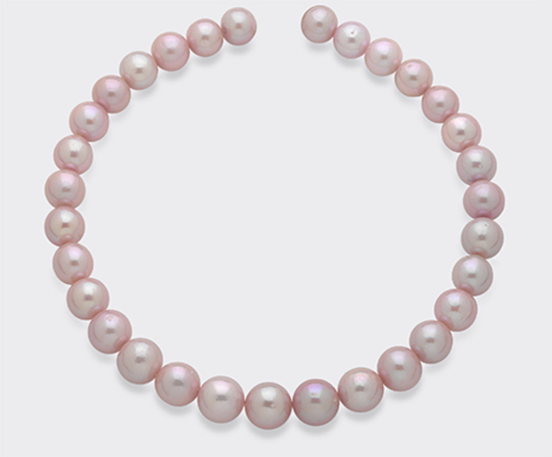 Mikiko nukleierter Vorderdraht 12/16 cm40 mu MF0400P0FNMU116