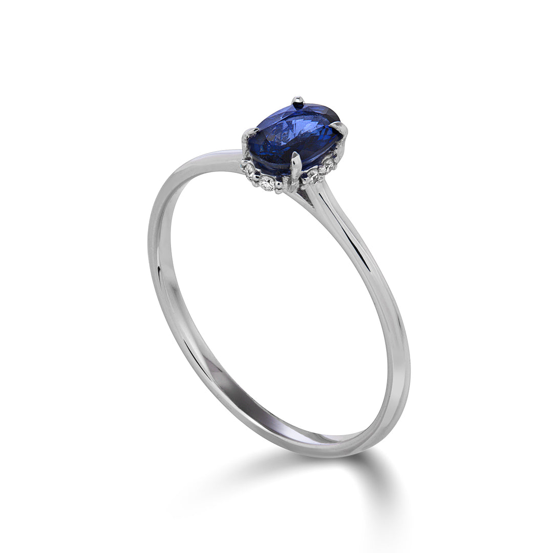 Mikiko an 18k safir n. oval 5x4 uppdateringsset med diamanter MA5218O4ZFN040