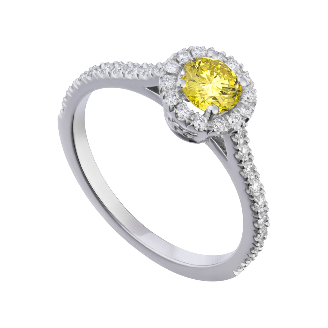 Golay solitaire ring contour cen 0.40 fancy yellow ACT008DFY40-25213110020